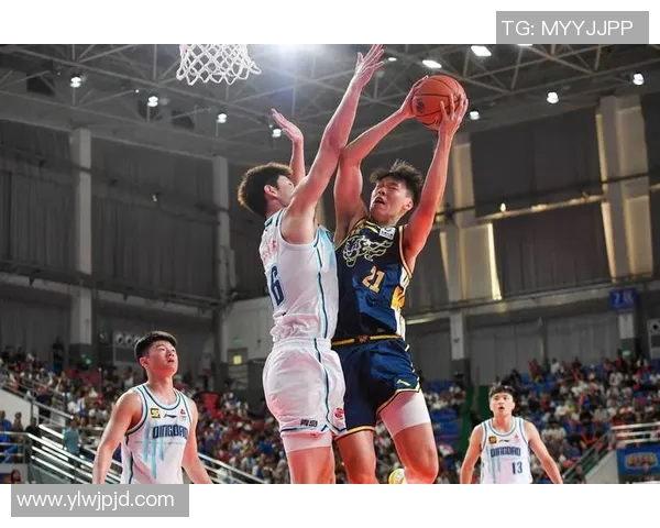 足球运动员看CBA：跨界球员对篮球赛事的兴趣