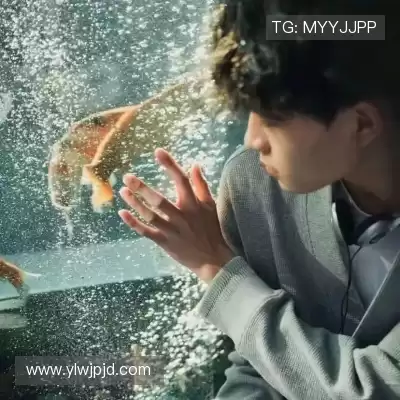 云曦影